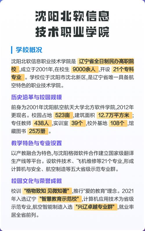 探索信息技术教育 沈阳北软信息技术职业学院的实践与展望